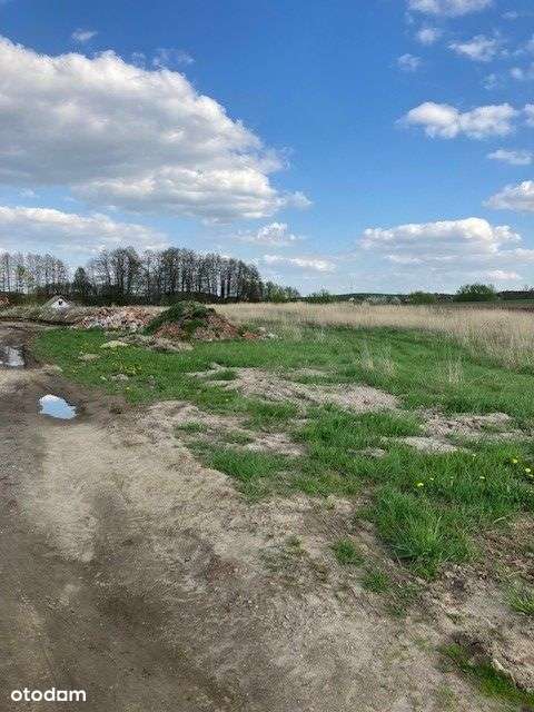 Działka budowlana pod Głogowem Kurowice Modła-6