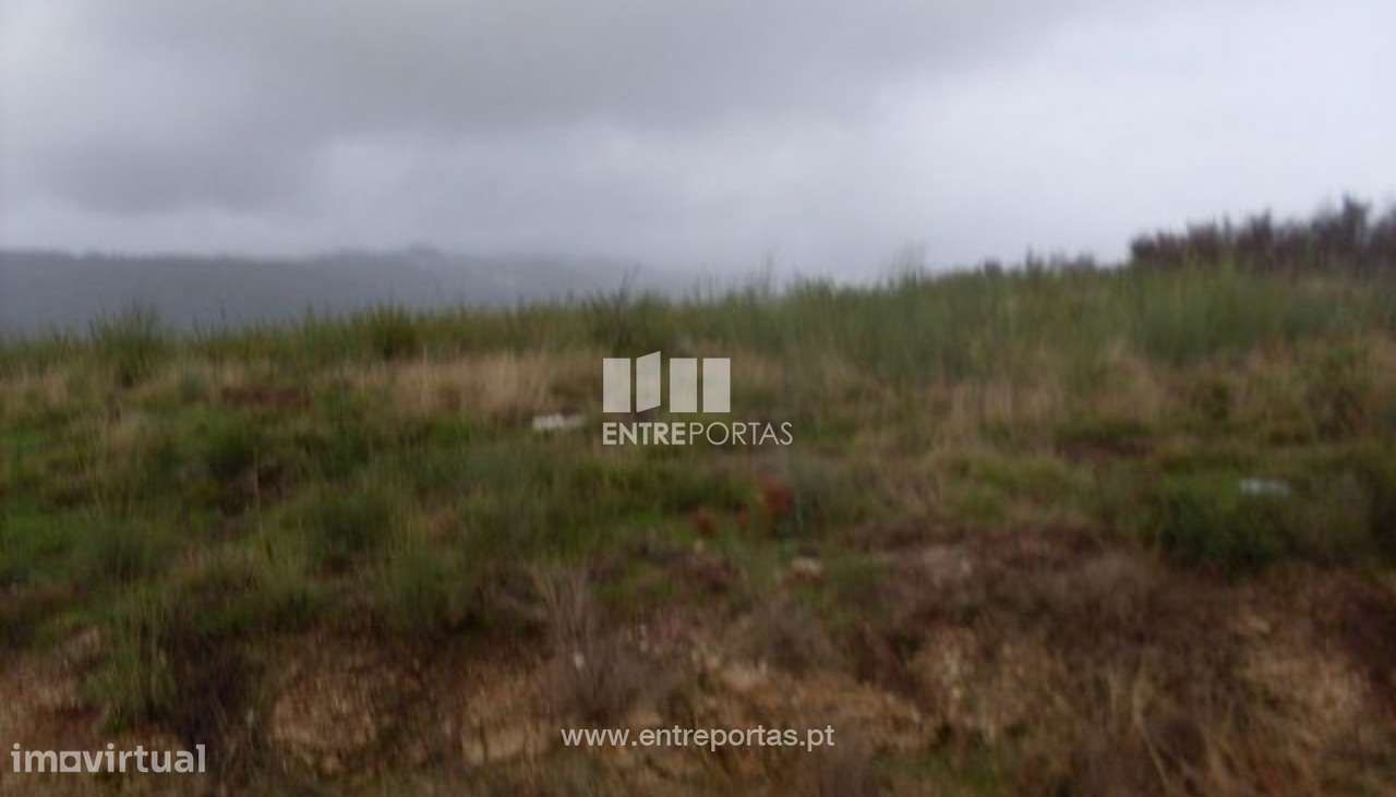 Venda Lote, Grilo, Baião - Grande imagem: 4/29