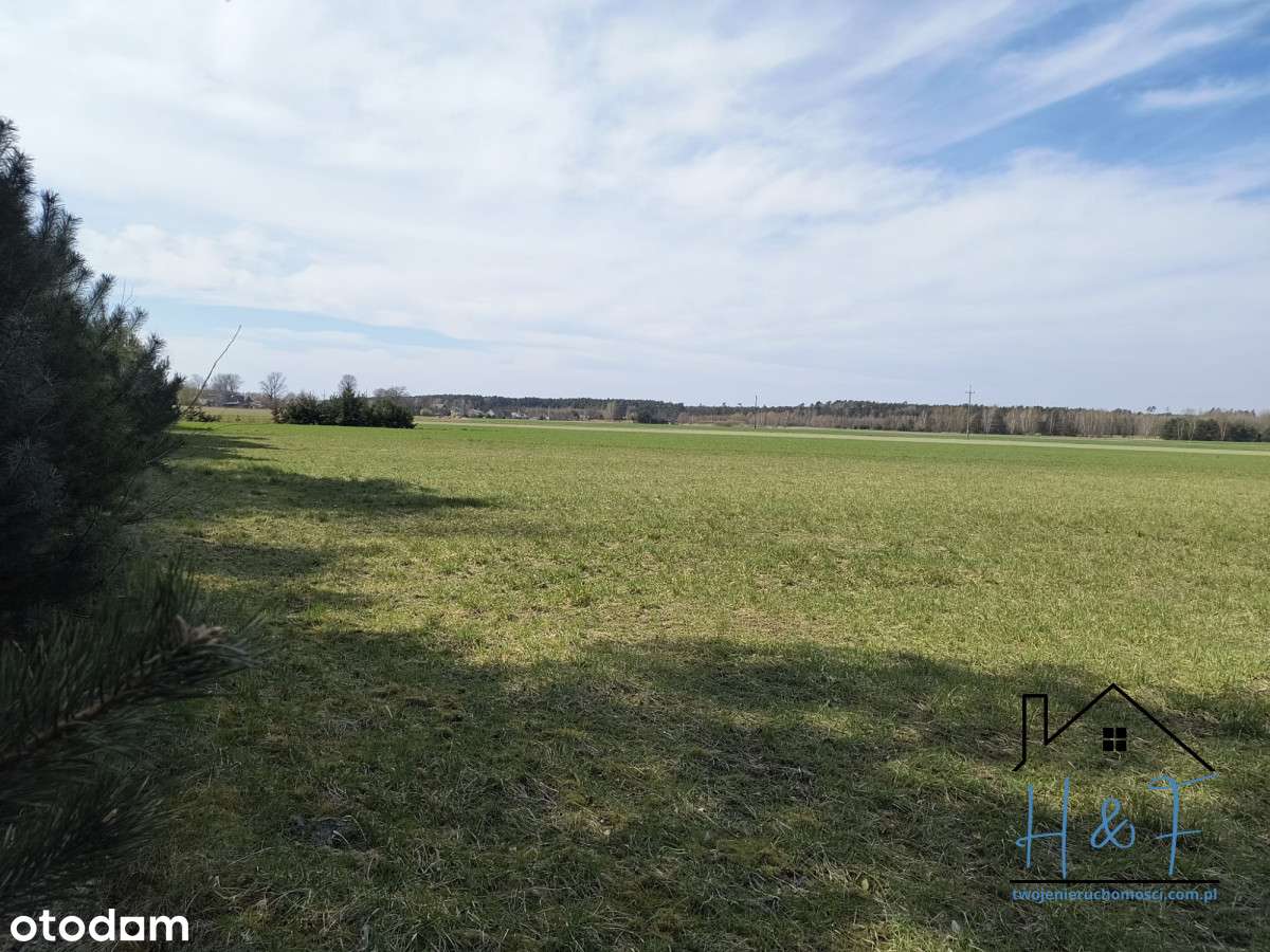 Duża działka obok lasu - Pełny obrazek: 5/12