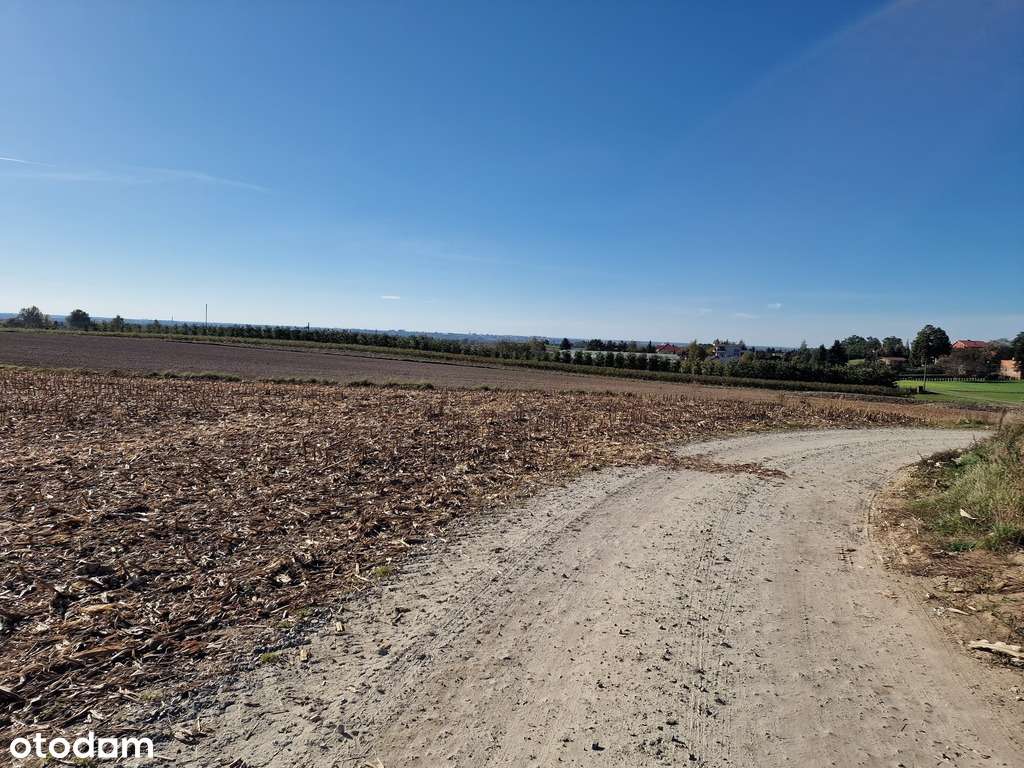 Duża działka w spokojnej okolicy - Pełny obrazek: 4/11