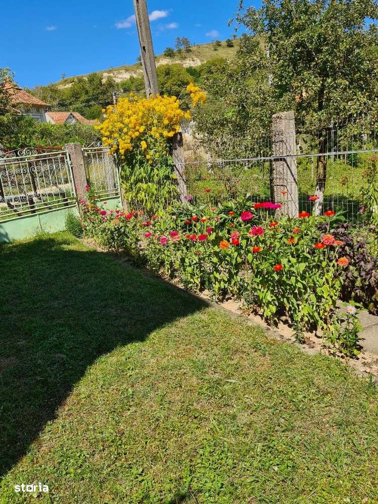 Casa P+1+M in Brebi,Salaj cu 19,32 ari teren+garaj+anexe de 240 mp - Imagine principală: 4/20