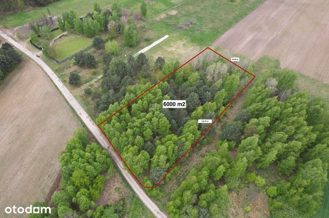 Działka w Krakowianach pod Bliźniaki 8 x 750m2