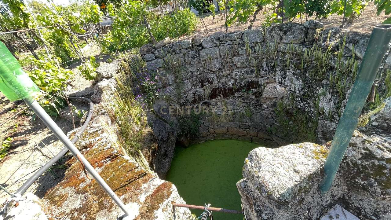 Terreno Rústico | Lousa CTB, Castelo Branco - Grande imagem: 3/28