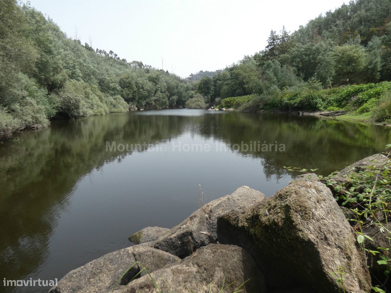 Quinta  Venda em Ervedal e Vila Franca da Beira,Oliveira do Hospital