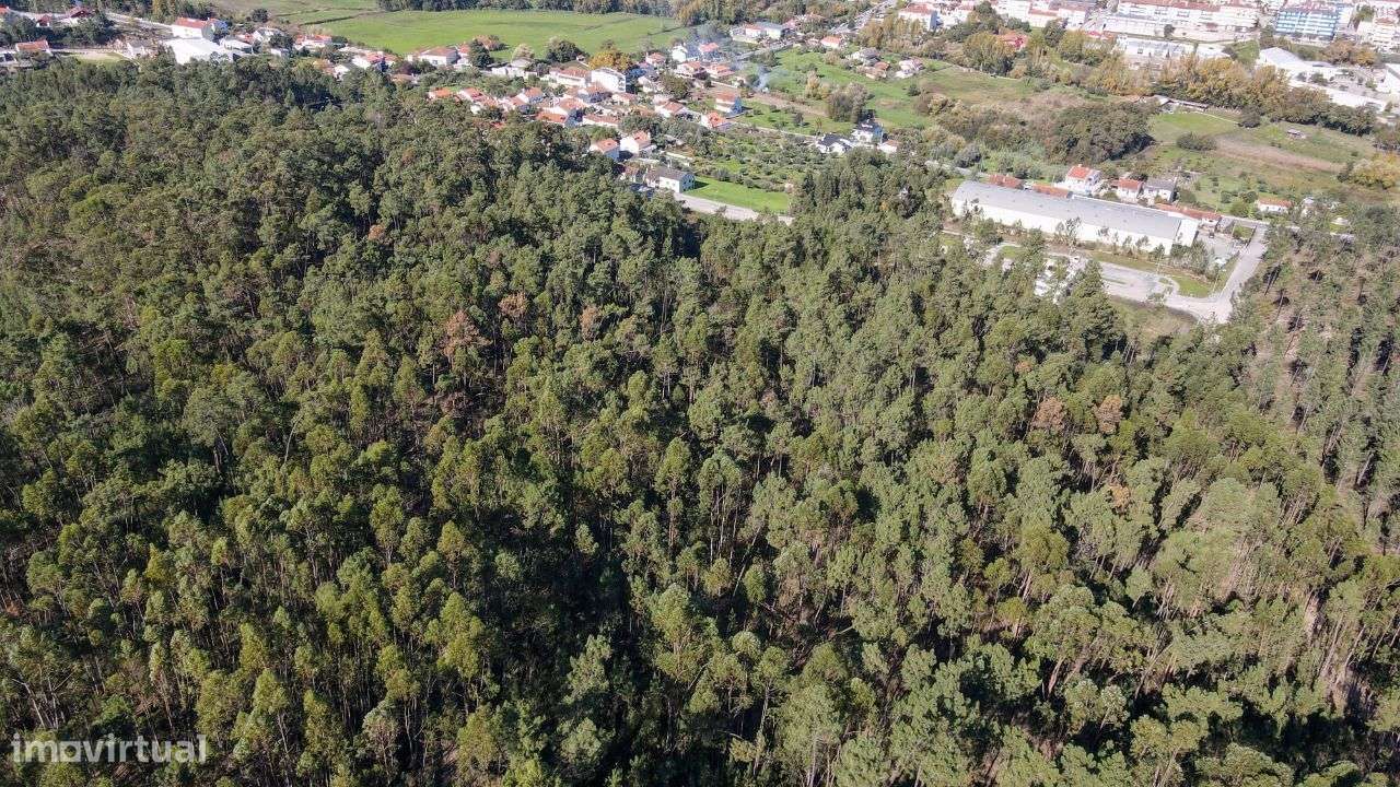 Terreno Rústico localizado na periferia de Ourém! - Grande imagem: 4/11