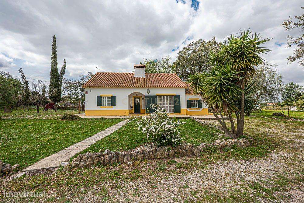 Quinta com moradia T2 em Setúbal - Oportunidade Única! - Grande imagem: 4/60