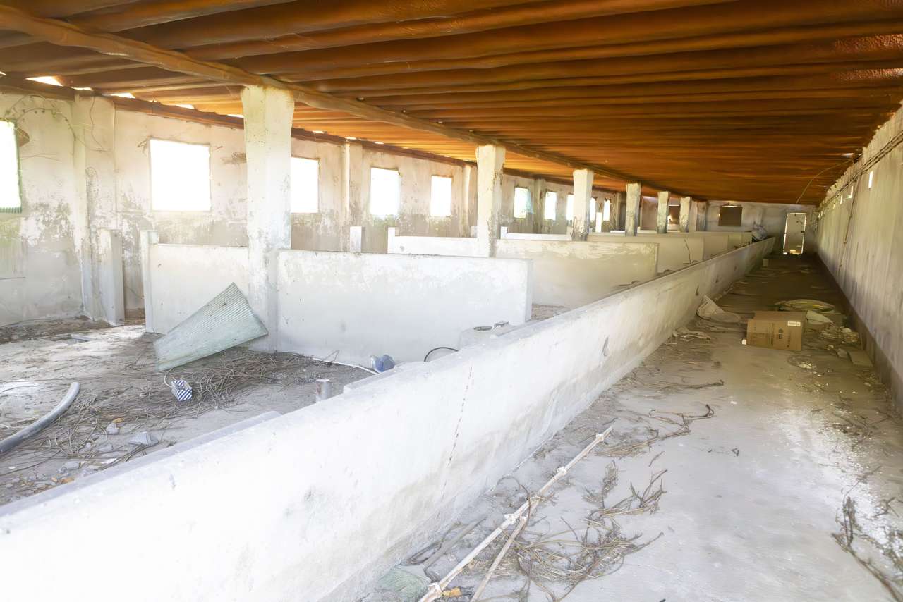 Quinta  5hct Rústica / Urbana com Potencial Único -  Branca - Coruche-10