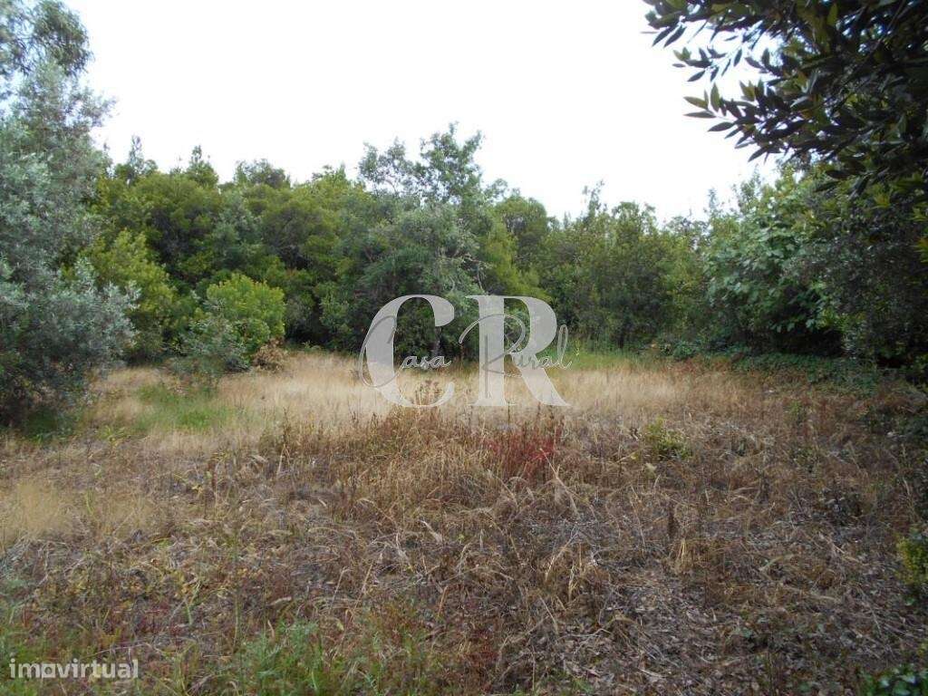 Terreno com capacidade para construção próximo de Santiago da Guarda-A - Grande imagem: 5/20