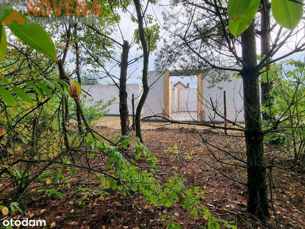 Ostrowina, działki wśród drzew - Pełny obrazek: 5/14