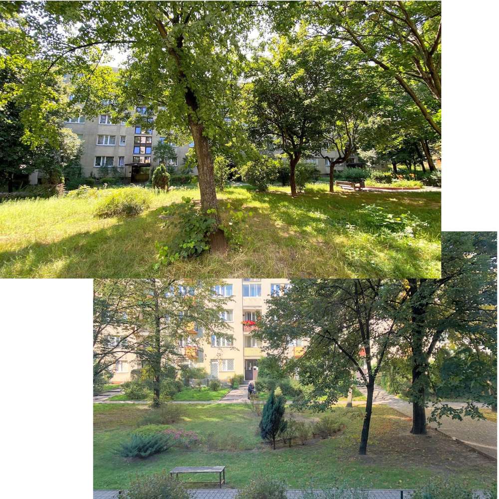 Pokój 1-os. Sadyba/Mokotów, parter, ogródek, tramwaj, 1250 zł - Pełny obrazek: 5/7