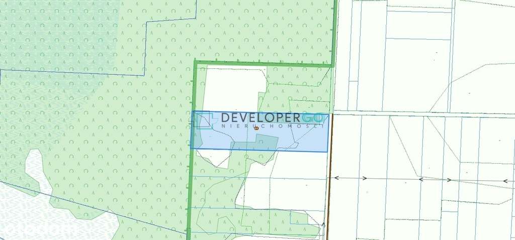 Działka / 1,08ha / Białowieża / Zastawa Krzyże - Pełny obrazek: 4/8