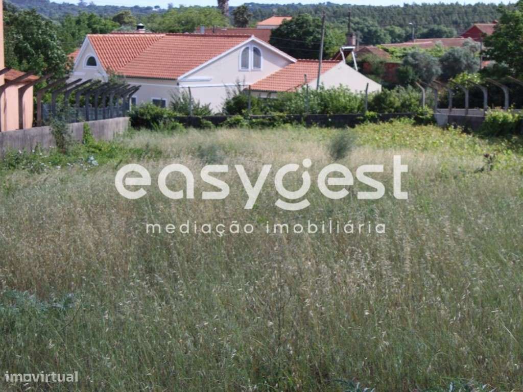 Terreno com 1120m2 área total localizado a 10 minutos cidade Tomar - Grande imagem: 3/16