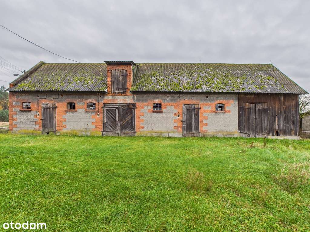 Dom z cegły na dużej działce Emilianów - Pełny obrazek: 5/20