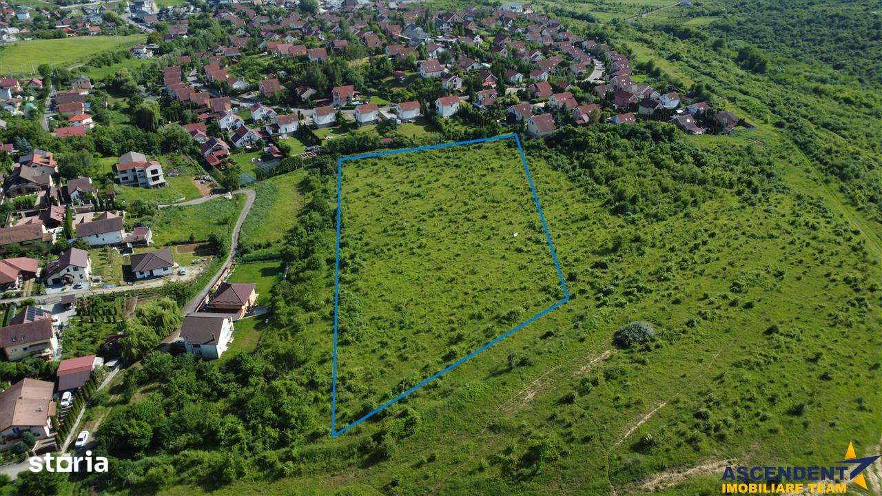 Lot premium,17.200 mp,PUG, oportunitate extinsa,10 min de Targu Mures: - Imagine principală: 4/15