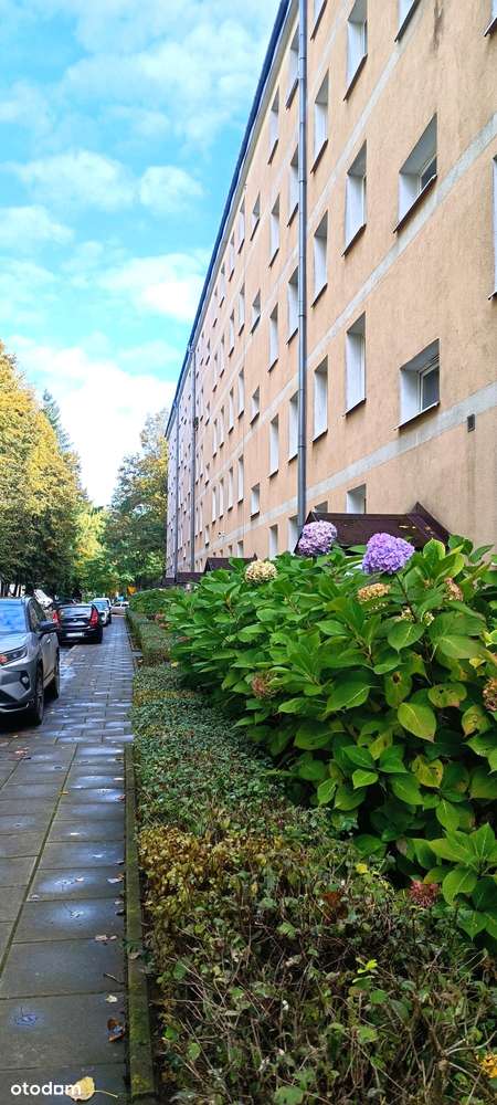 3-pok. z balkonem tuż przy parku – os. Tysiąclecia, blisko szkół i obw-7