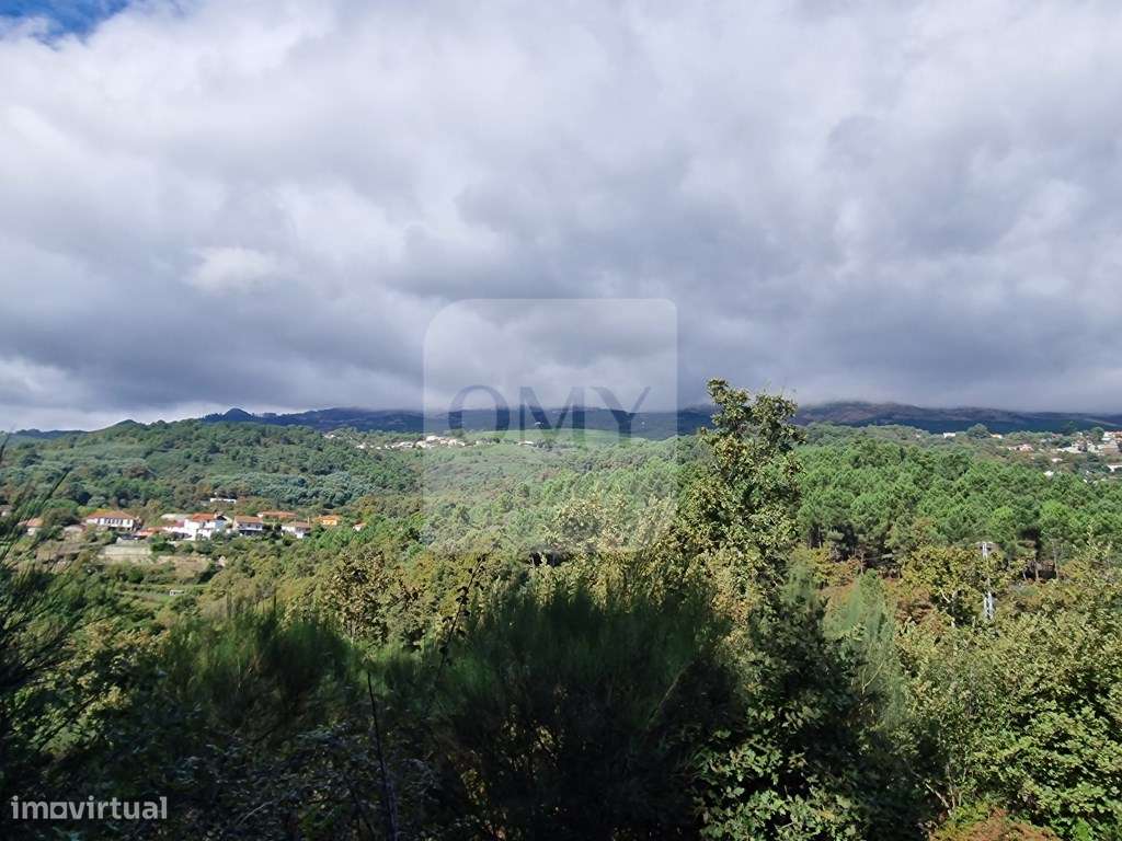 Terreno de 2.000 m2 em Adoufe, Vila Real - Grande imagem: 3/7
