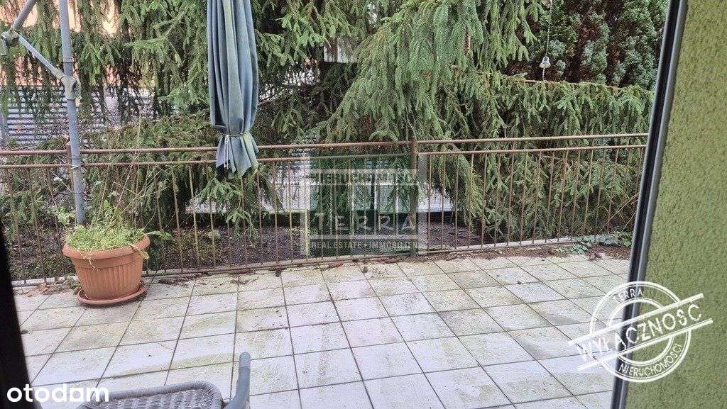 Zielony dom tonący w zieleni - Pełny obrazek: 5/15