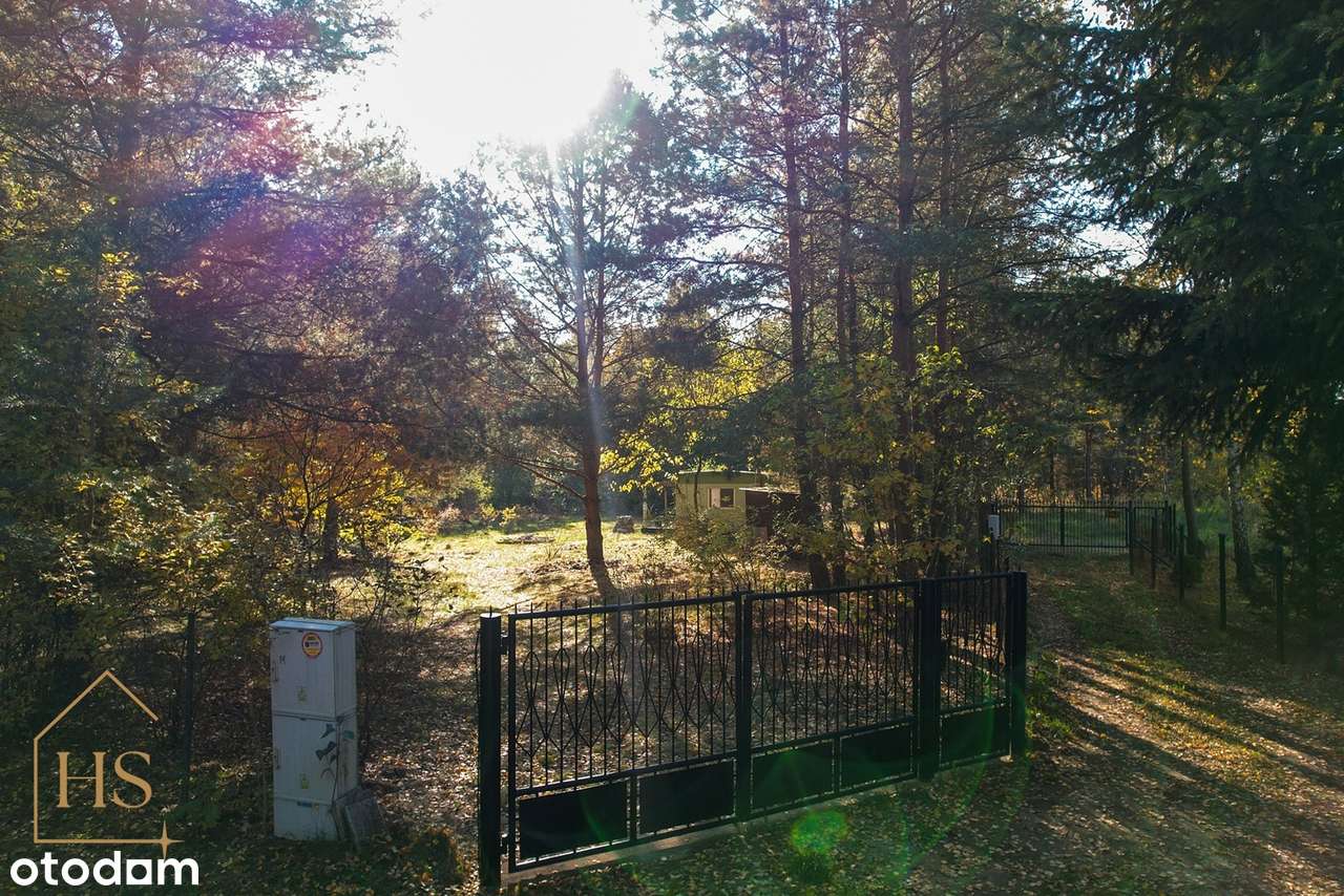 Piękna działka pod zabudowę/Zalesie gm. Żabia Wola/35 min od Wa-wy-5