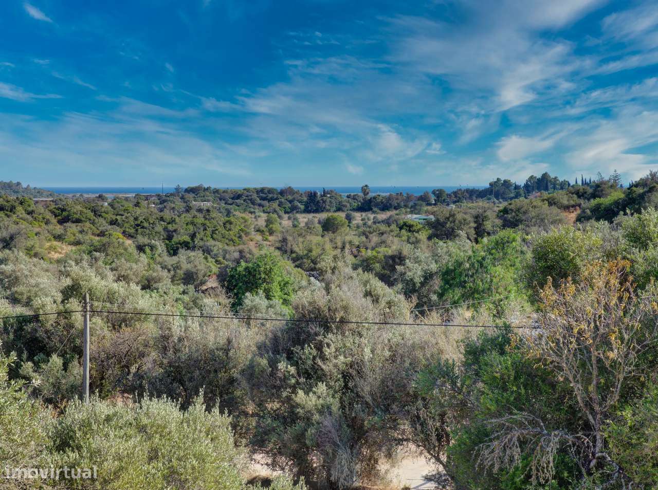 Terreno com 3,68Ha pronto para loteamento e construção de 24 moradias - Grande imagem: 5/47