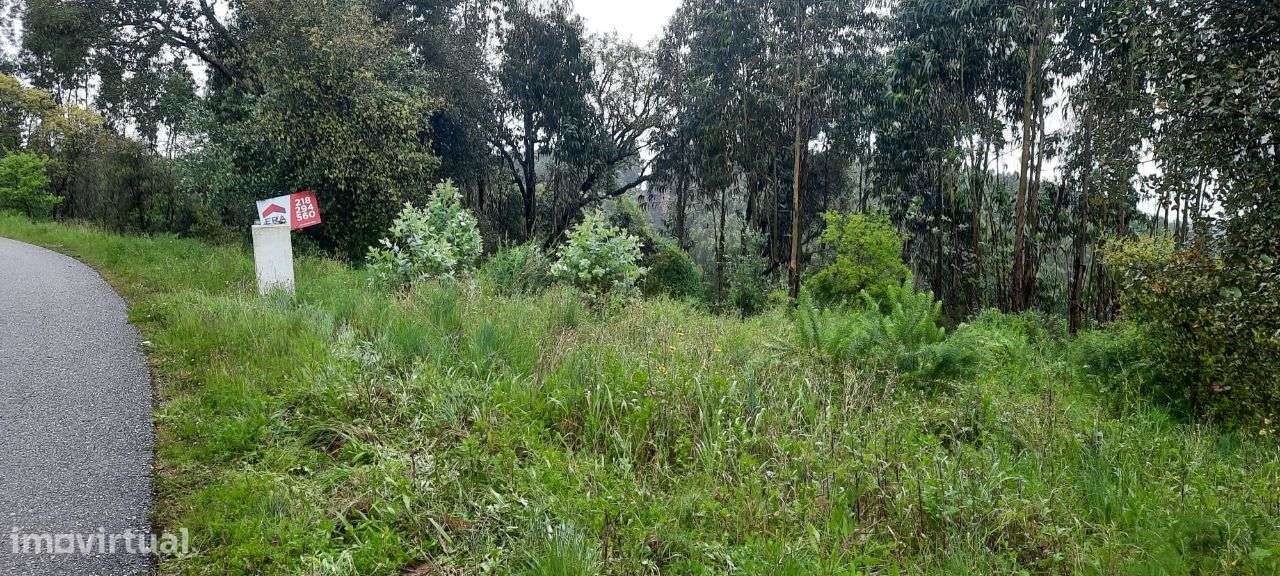 Terreno 1.200 m2 V. Nova de Barquinha -Santarém - Grande imagem: 4/9