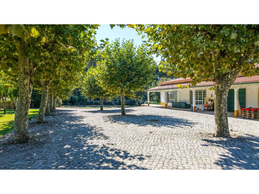 Quinta com 3,14 Hectares e Piscina | Ferreira do Zêzere-59