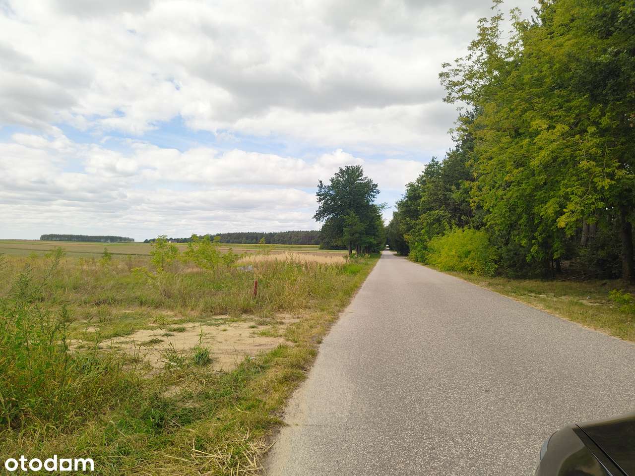 2 działki budowlane, gm. Rokiciny, Maksymilianów - Pełny obrazek: 4/6