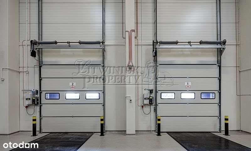 hala do wynajęcia klasy A w Katowicach - Pełny obrazek: 4/4