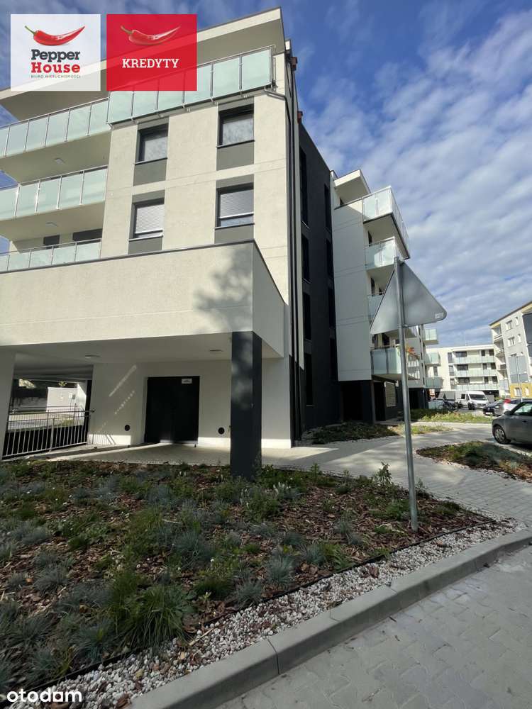 Chodkiewicza 2 Pokoje 1 Piętro - Pełny obrazek: 5/19