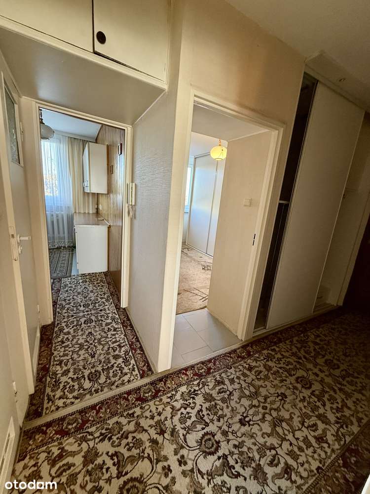 Na sprzedaż 41m2 - Jelenia przy Magnolii/rozkład/balkon:-10