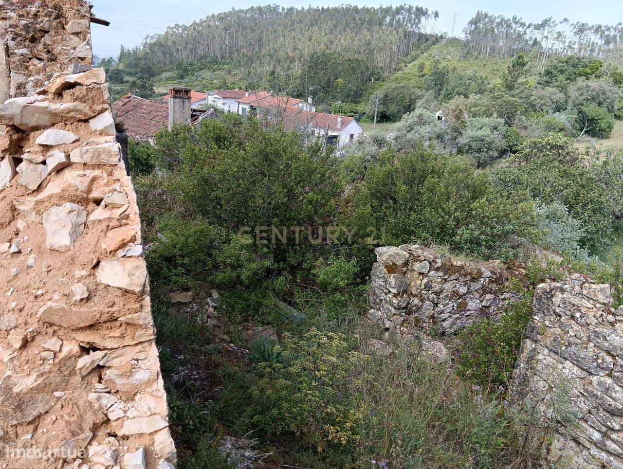 Ruina em Pombal, com vista de excelência-8
