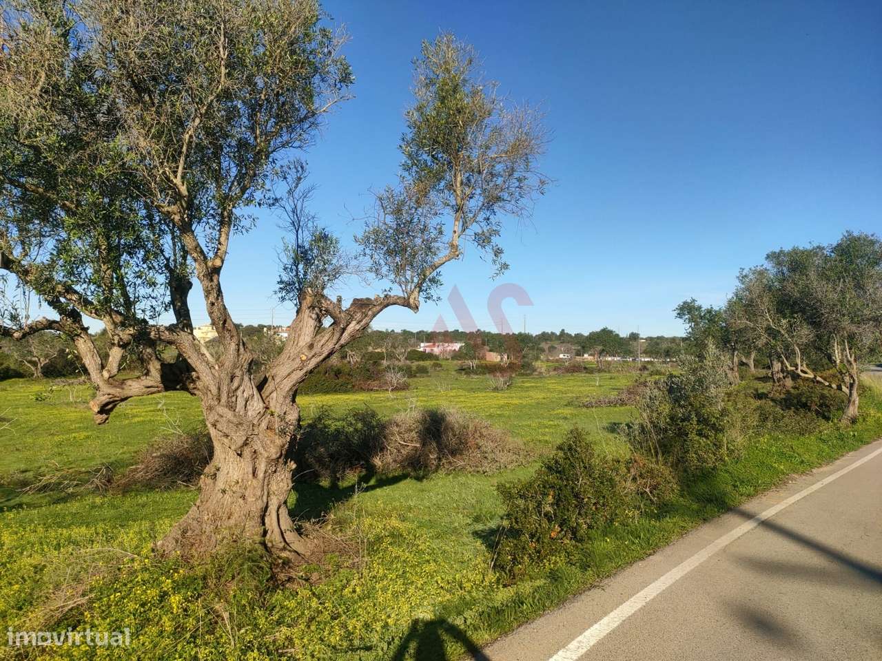 Terreno com uma área total de 24.070 m2 com 1 Bungalow T2 em Albufeira - Grande imagem: 5/19