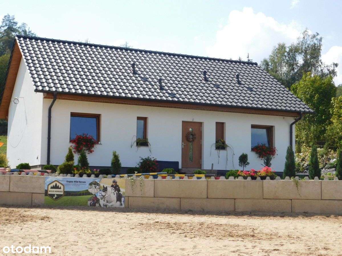 Dom Parterowy Lutomia Górna Pow. Świdnicki - Pełny obrazek: 4/20