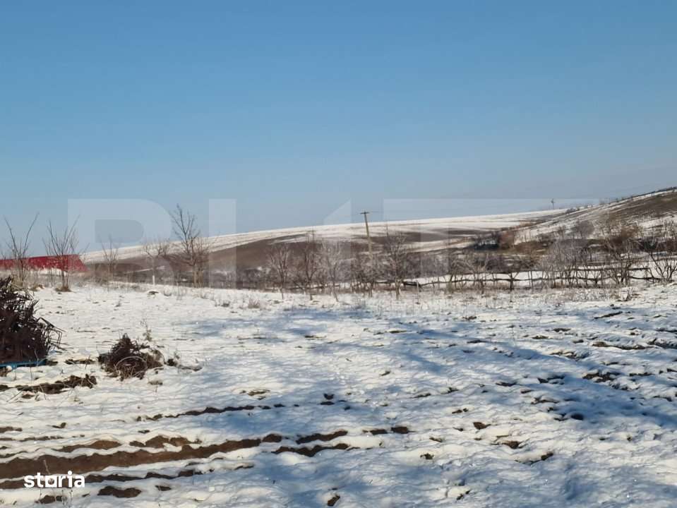 Teren intravilan 7.9 ha. Sandra - Imagine principală: 5/19