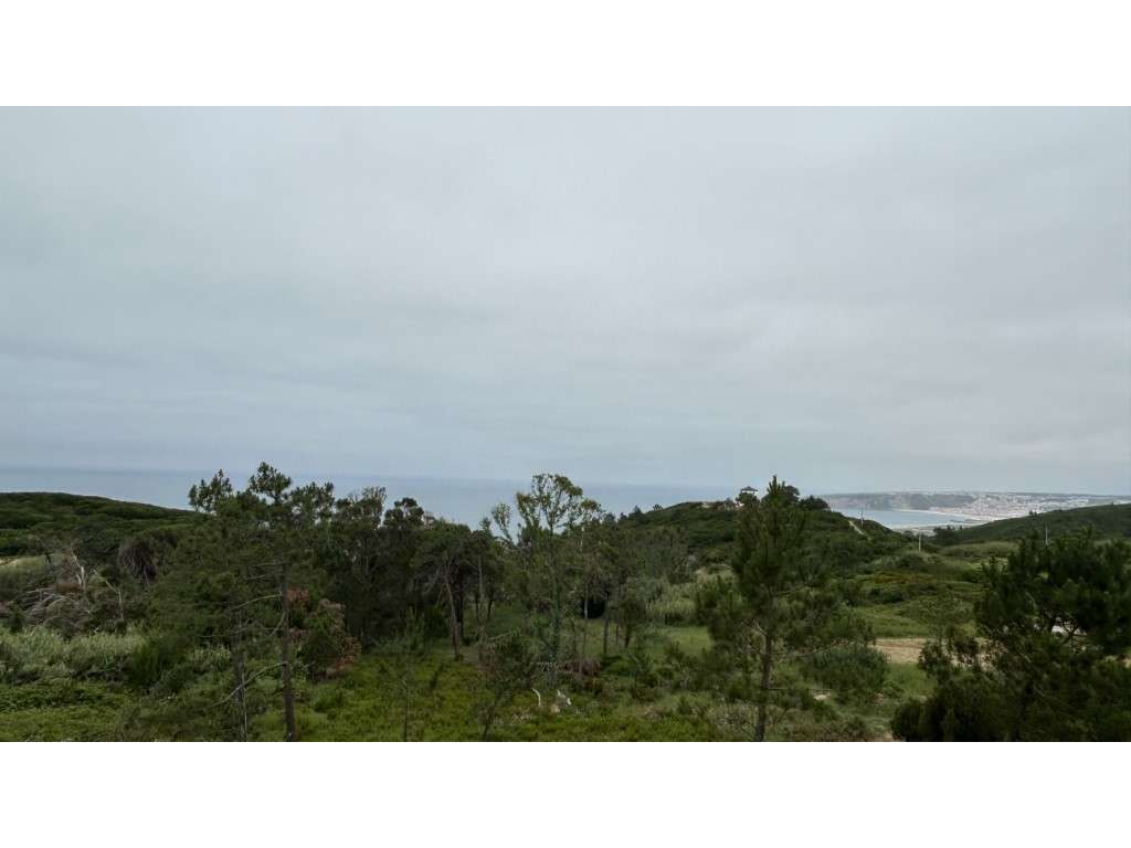 Terreno de exceção na Nazaré, com vista mar e projeto aprovado!-10