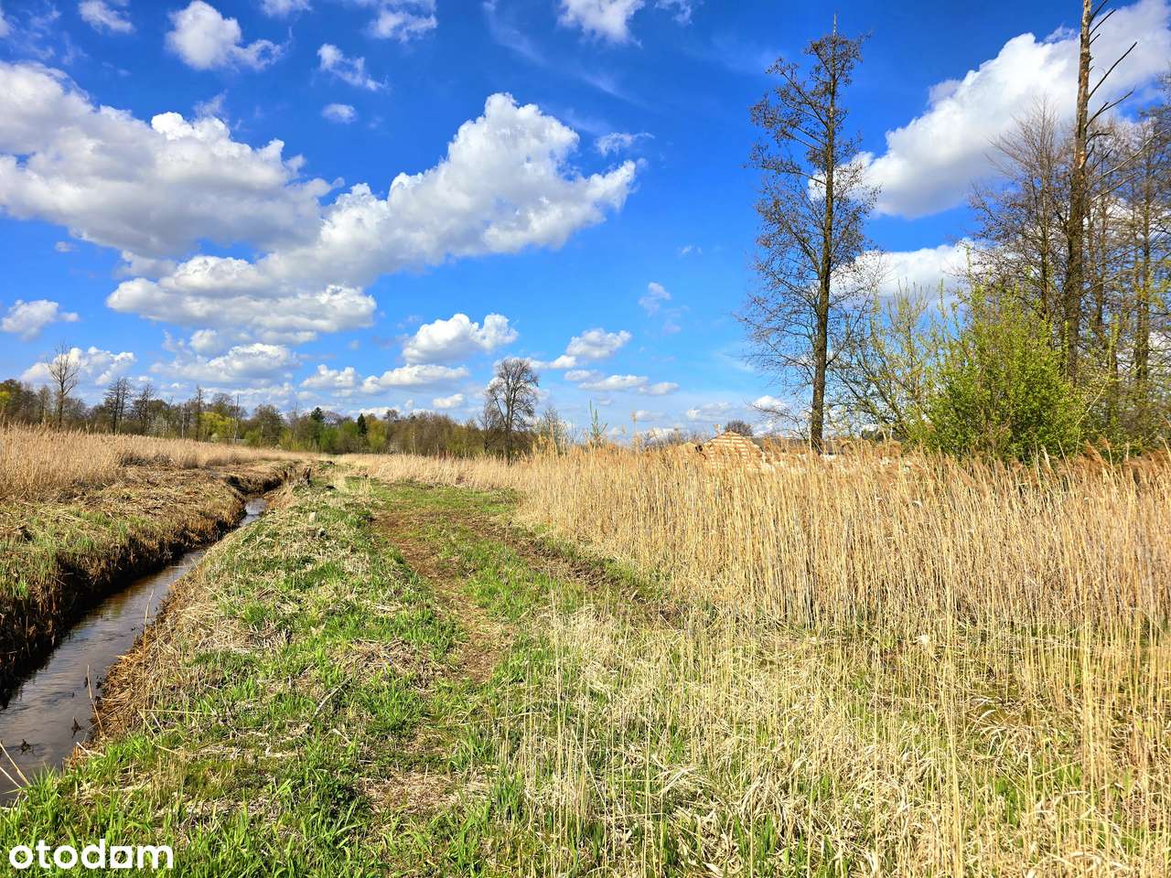 Działka z dostępem do rzeki, zabudowa całoroczna lub letniskowa - Pełny obrazek: 5/13
