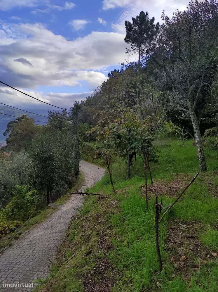 Terreno com Vista Deslumbrante em Gove - Grande imagem: 4/5
