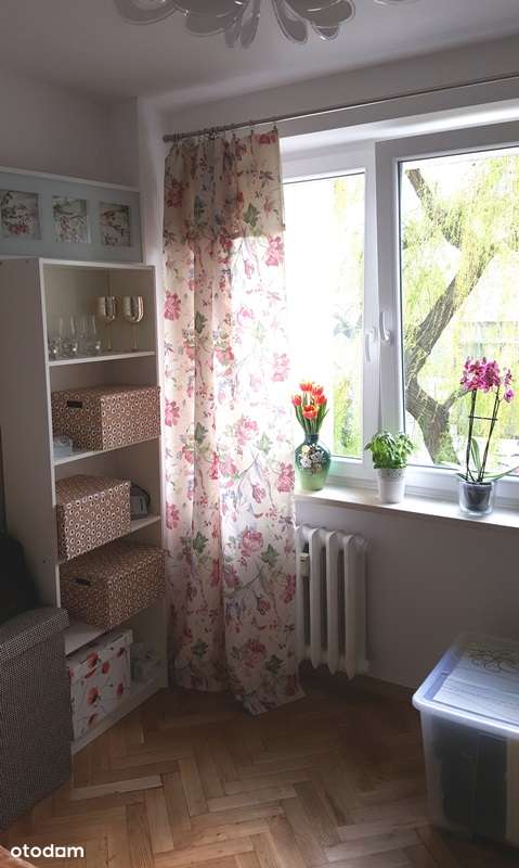 Kawalerka ul. Belwederska, Tramwaj! Przy parku - Pełny obrazek: 2/9