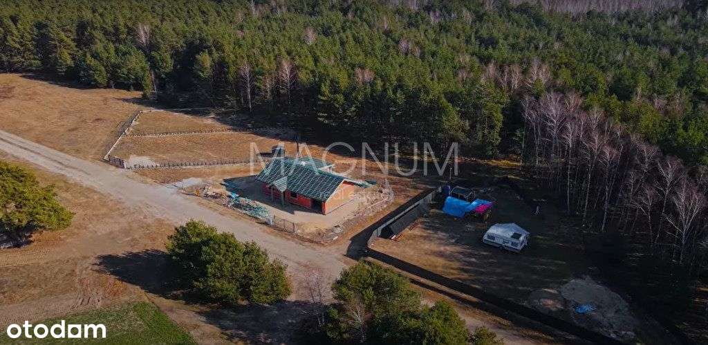 Działka z lasem pod zabudowę jednorodzinną - Pełny obrazek: 4/12