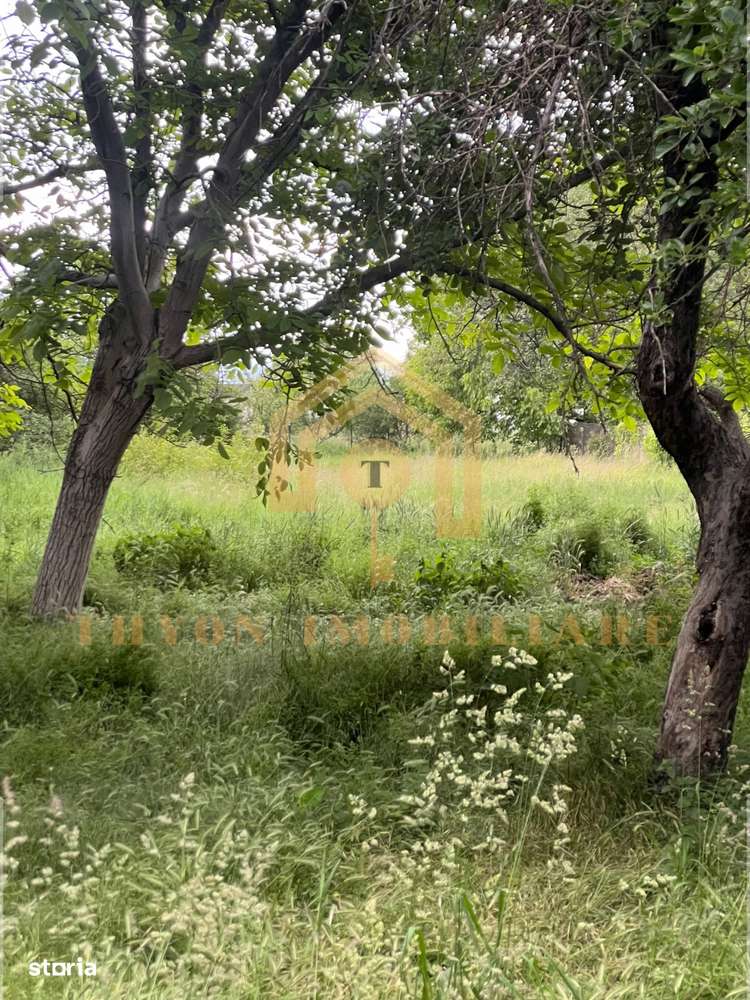 Casă de vânzare în Petrești, Sebeș – teren generos 1961 mp-9