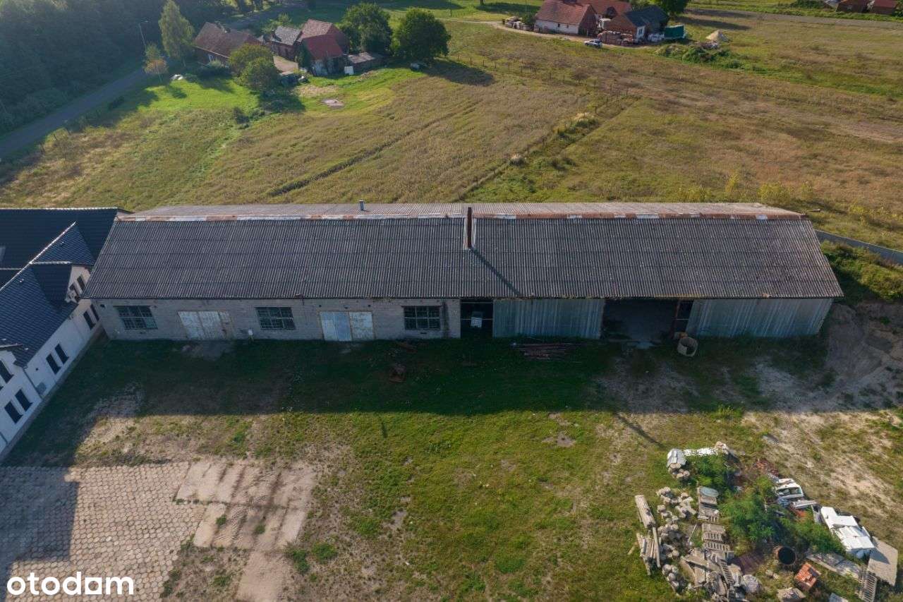 Dom na Sprzedaż: 1003 m² Użytkowej Powierzchni - Pełny obrazek: 5/20