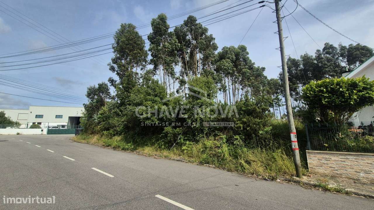 Terreno Industrial em Esmoriz - Grande imagem: 5/6