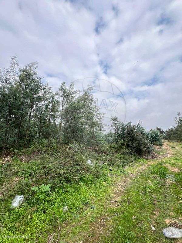 Terreno  para venda - Grande imagem: 2/16