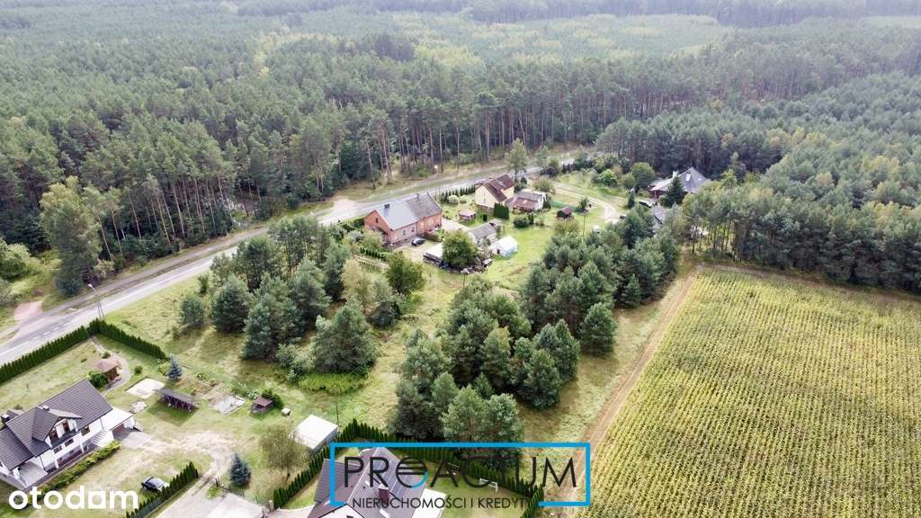 Działka z Mpzp - 10 min od Torunia - Nowa Wieś - Pełny obrazek: 5/7