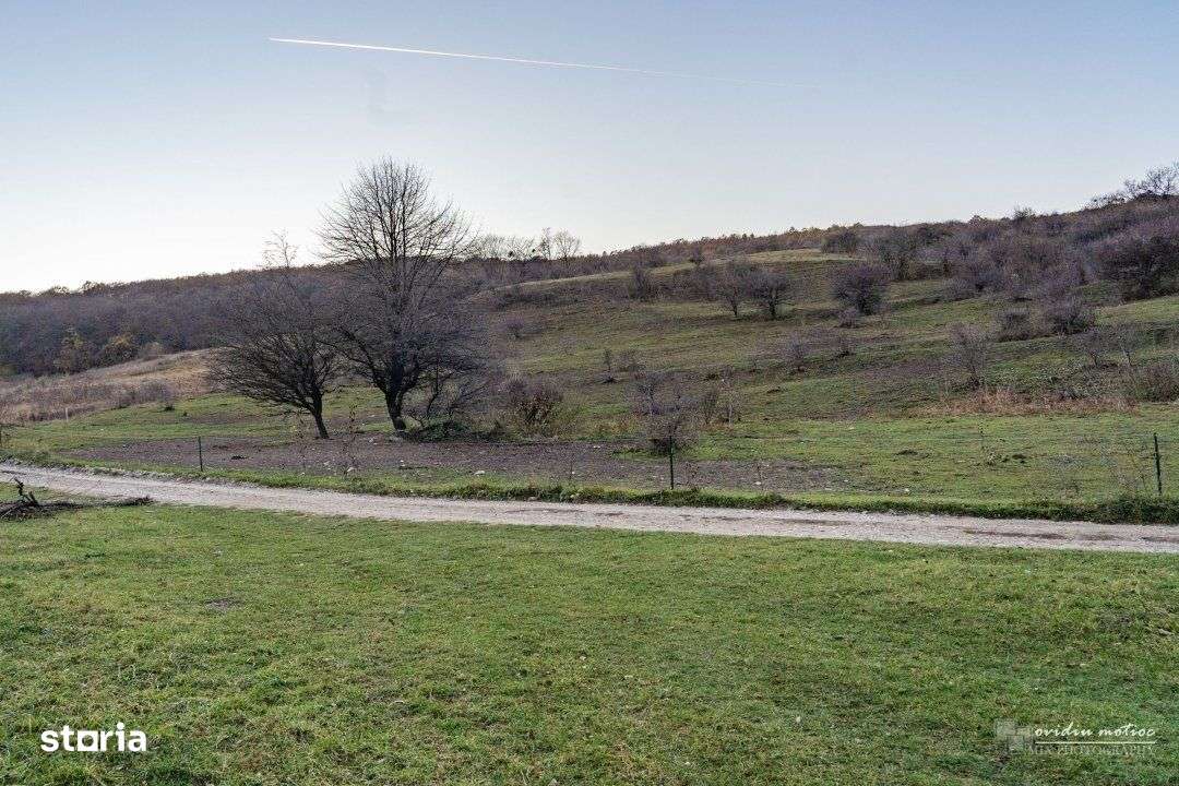 Teren investitii Valea Garbaului, CF+CU - Imagine principală: 4/7