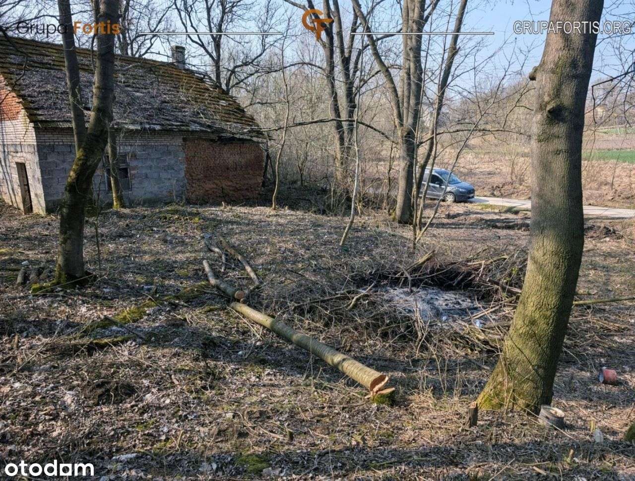 Działka budowlana 27ar z lasem - Pełny obrazek: 4/11