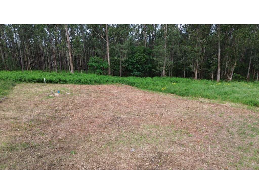Lote com projeto aprovado para moradia em São Miguel de Souto - San...-14