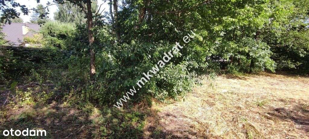 ⭐⭐⭐⭐⭐ Blisko Wkd Z Warunkami Zabudowy Media! ⭐⭐⭐⭐⭐-6