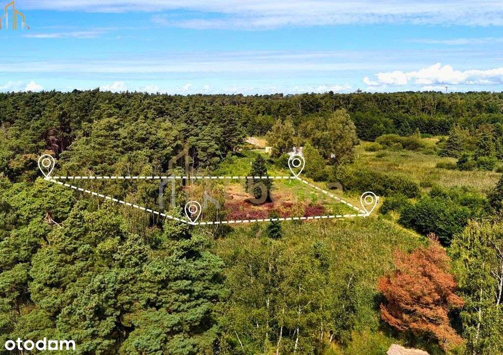 Działka nad morzem - Pełny obrazek: 4/14