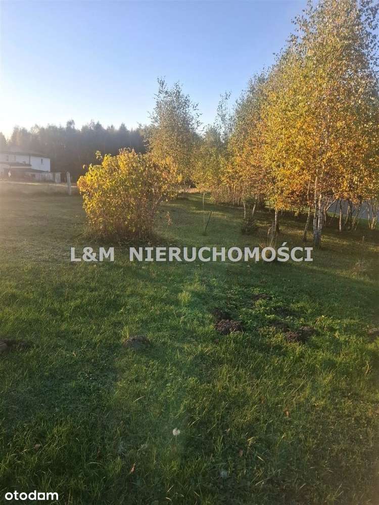 Urokliwa Działka W Spokojnym Miejscu - Pełny obrazek: 5/12