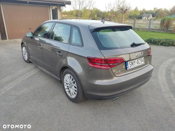 Audi A3 1.6 TDI ultra Attraction - 5